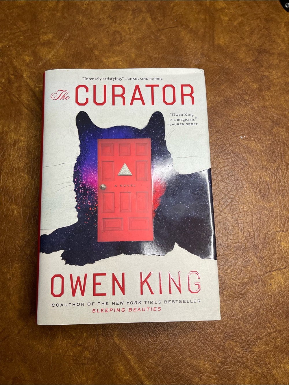 The Curator by Owen King - Red Door Cover